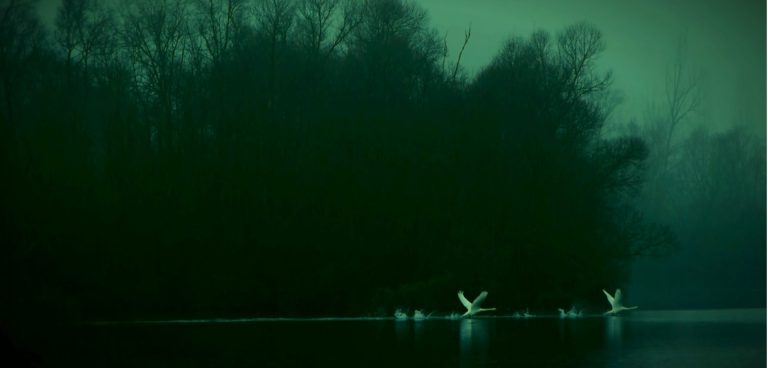 Breathe water in…Βreathe water out... Έκθεση του Video Art