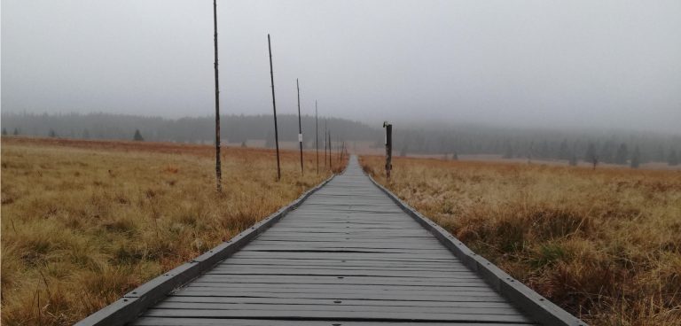 Αναζητώντας τον Καζαντζάκη