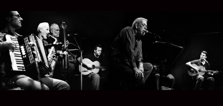 Χειμερινοί Κολυμβητές