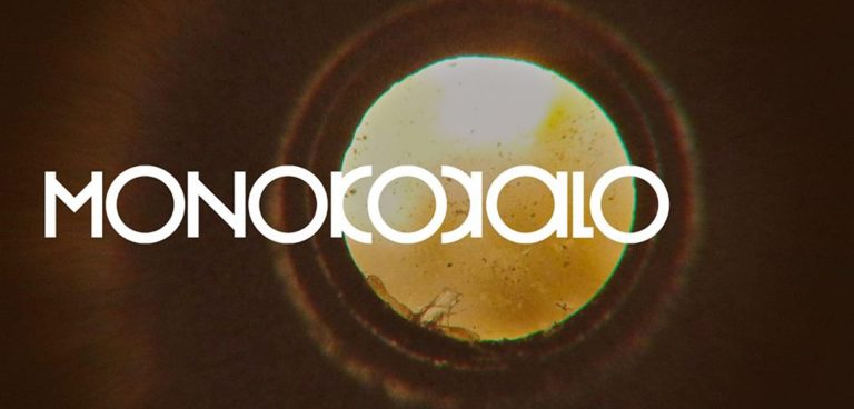 Μονοκόκαλο