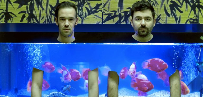 ΕΓΚΛΗΜΑ & ΤΙΜΩΡΙΑ