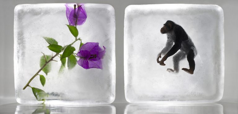 Νέοι Έλληνες Φωτογράφοι | 2010-2018