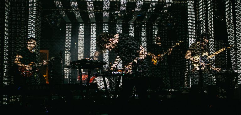 theodore six dogs live