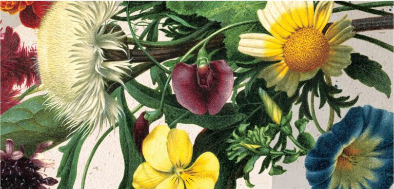 United We Fly Αγγλικανική