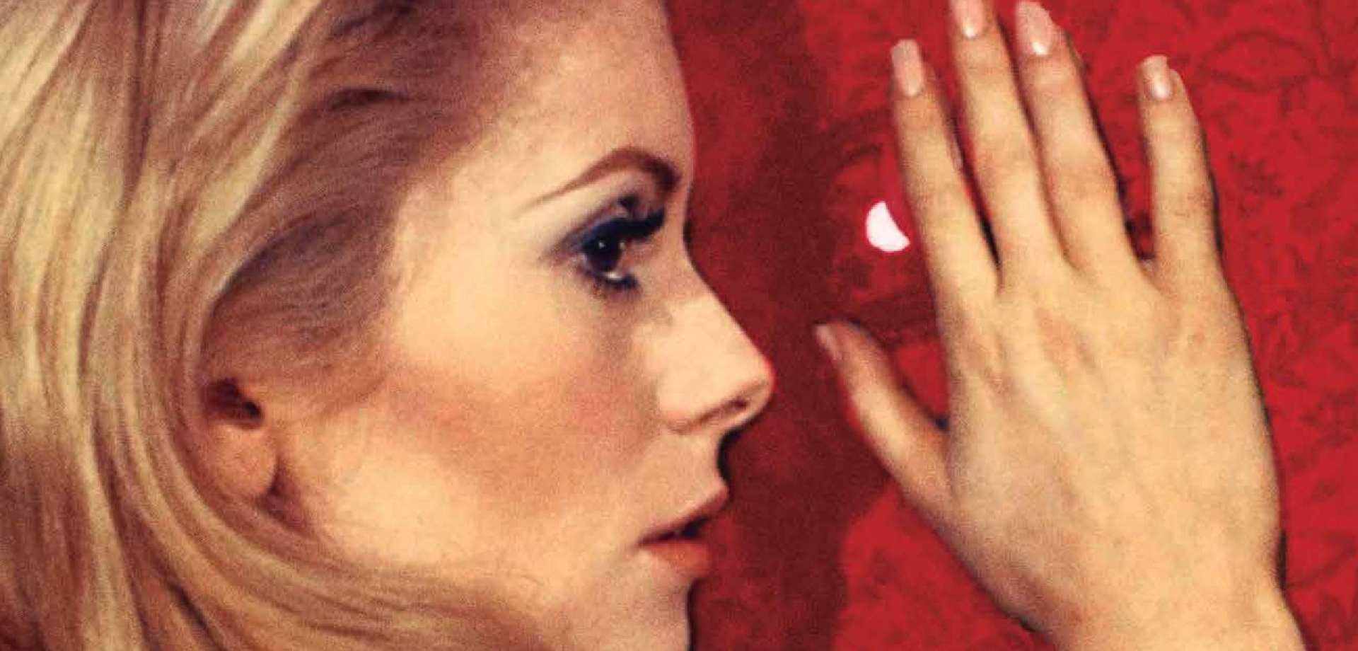 Η Bibliotheque στα Θερινά Σινεμά