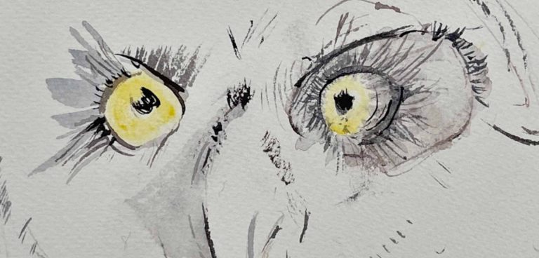 Μάρω Μιχαλακάκου - Kalfayan Galleries