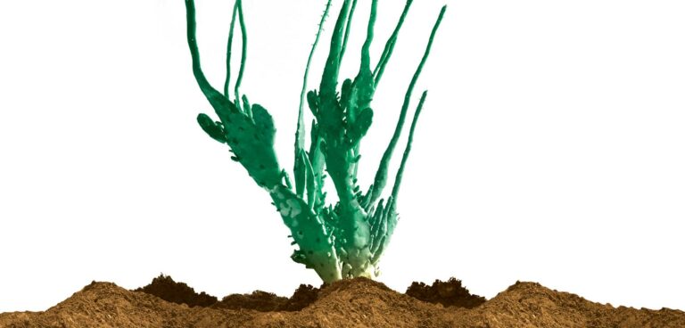 10: Θέλει καθημερινό πότισμα η ελευθερία μάτια μου