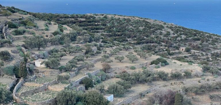 Μαθαίνοντας-από-την-Πουλάτη (1)