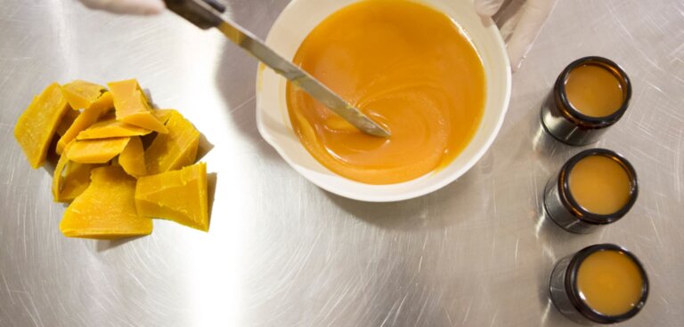 open farm Ακολούθησε τη μέλισσα