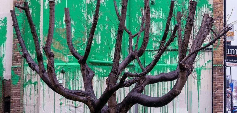 Η νέα τοιχογραφία του Banksy στο βόρειο Λονδίνο «φυτεύει» λίγο πράσινο σε μια φτωχή γειτονιά