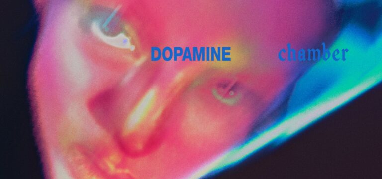 dopamine chamber fontaines dc